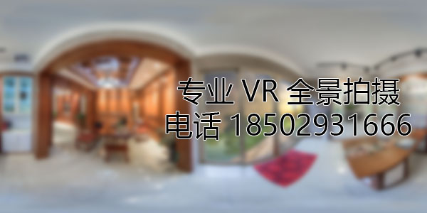 龙门VR全景技术在未来可能的发展方向和应用领域?